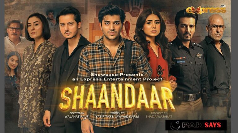 Shaandaar Drama Cast, Release Date, Story & Timing