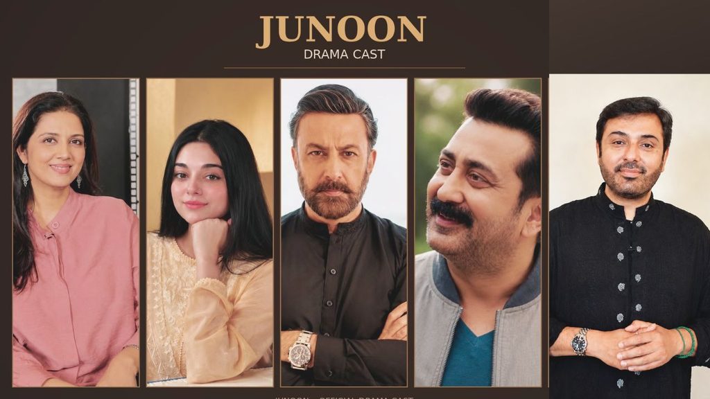 Junoon drama cast
