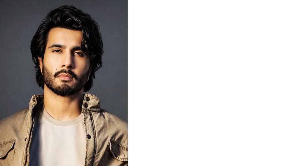haal e dil cast